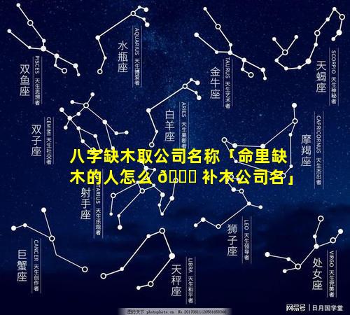八字缺木取公司名称「命里缺木的人怎么 🐟 补木公司名」